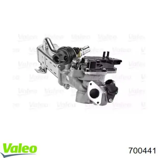  700441 VALEO