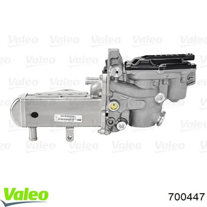 Клапан EGR, рециркуляции газов VALEO 700447