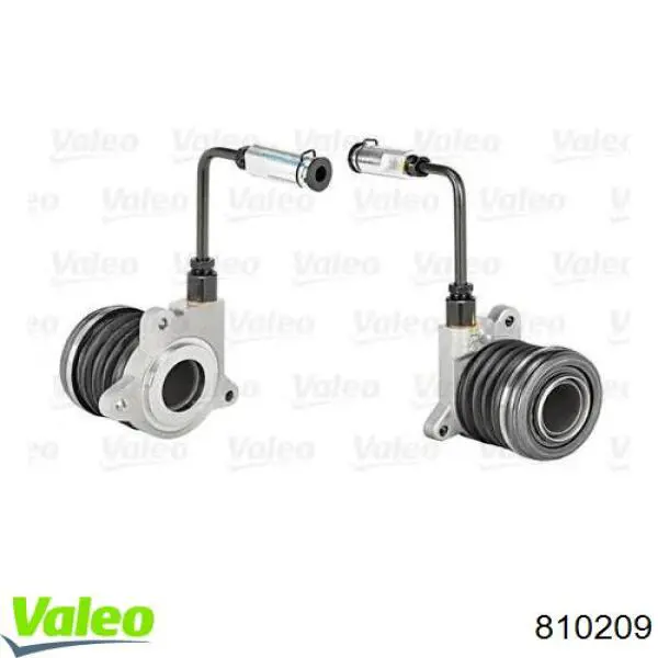 810209 VALEO