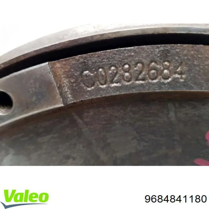 9684841180 Peugeot/Citroen 