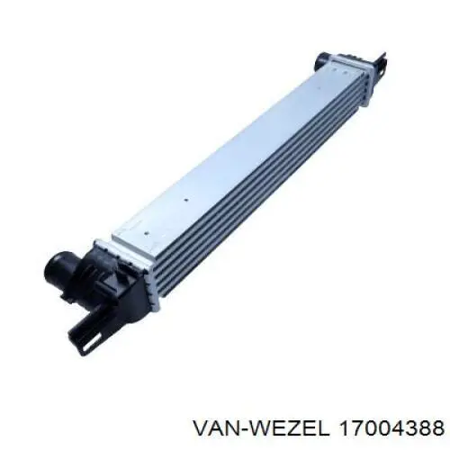 Интеркулер 17004388 VAN Wezel