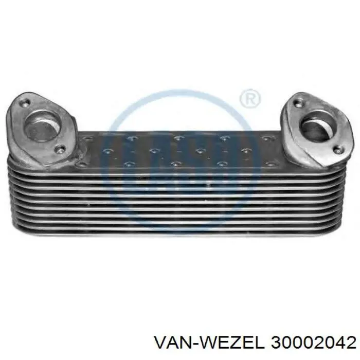 Купить 30002042 VAN Wezel Радиатор водяной