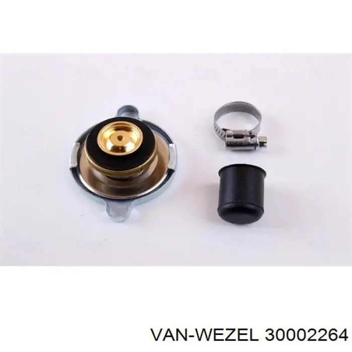 Радиатор охлаждения двигателя VAN Wezel 30002264 цена, от 208.64 USD