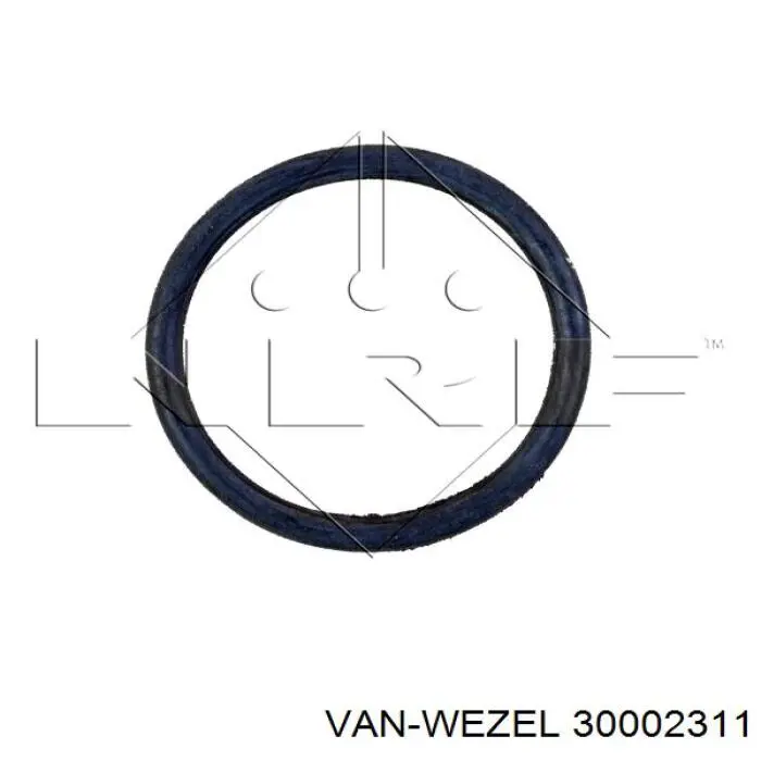 Купить 30002311 VAN Wezel Радиатор водяной