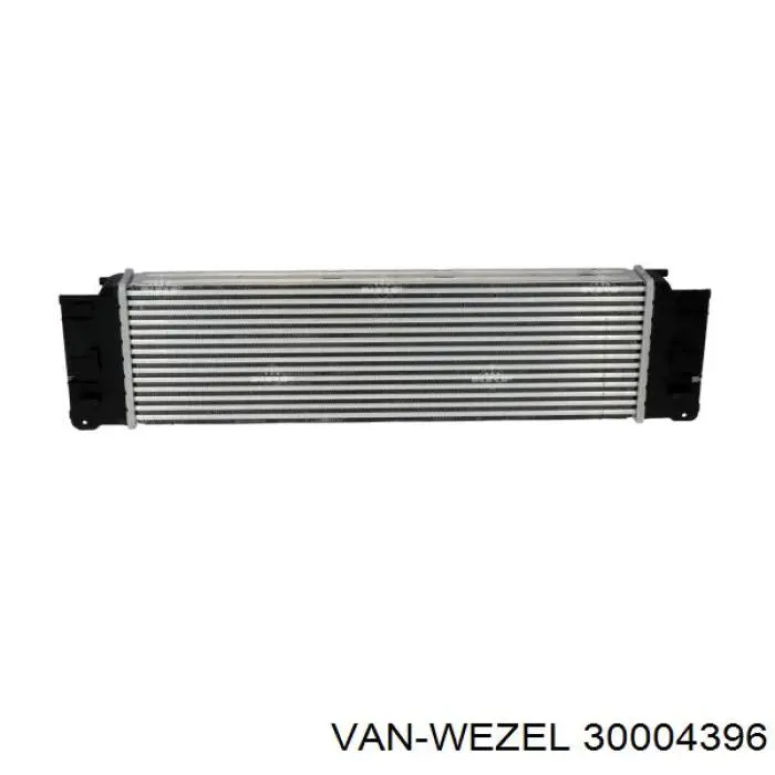 30004396 VAN Wezel