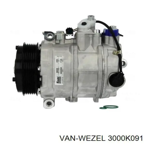 Компрессор кондиционера 3000K091 VAN Wezel