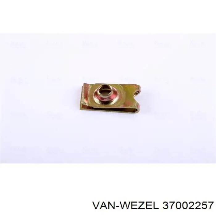 37002257 VAN Wezel Радиатор основной
