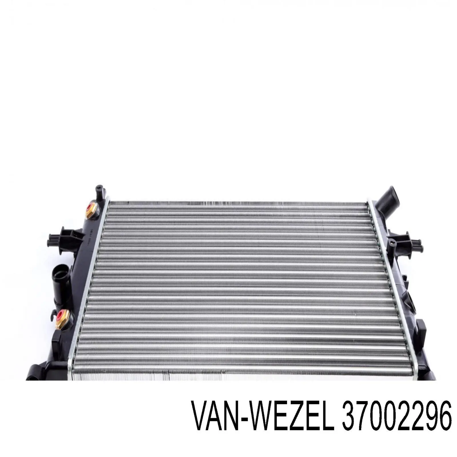 Радиатор охлаждения VAN Wezel 37002296