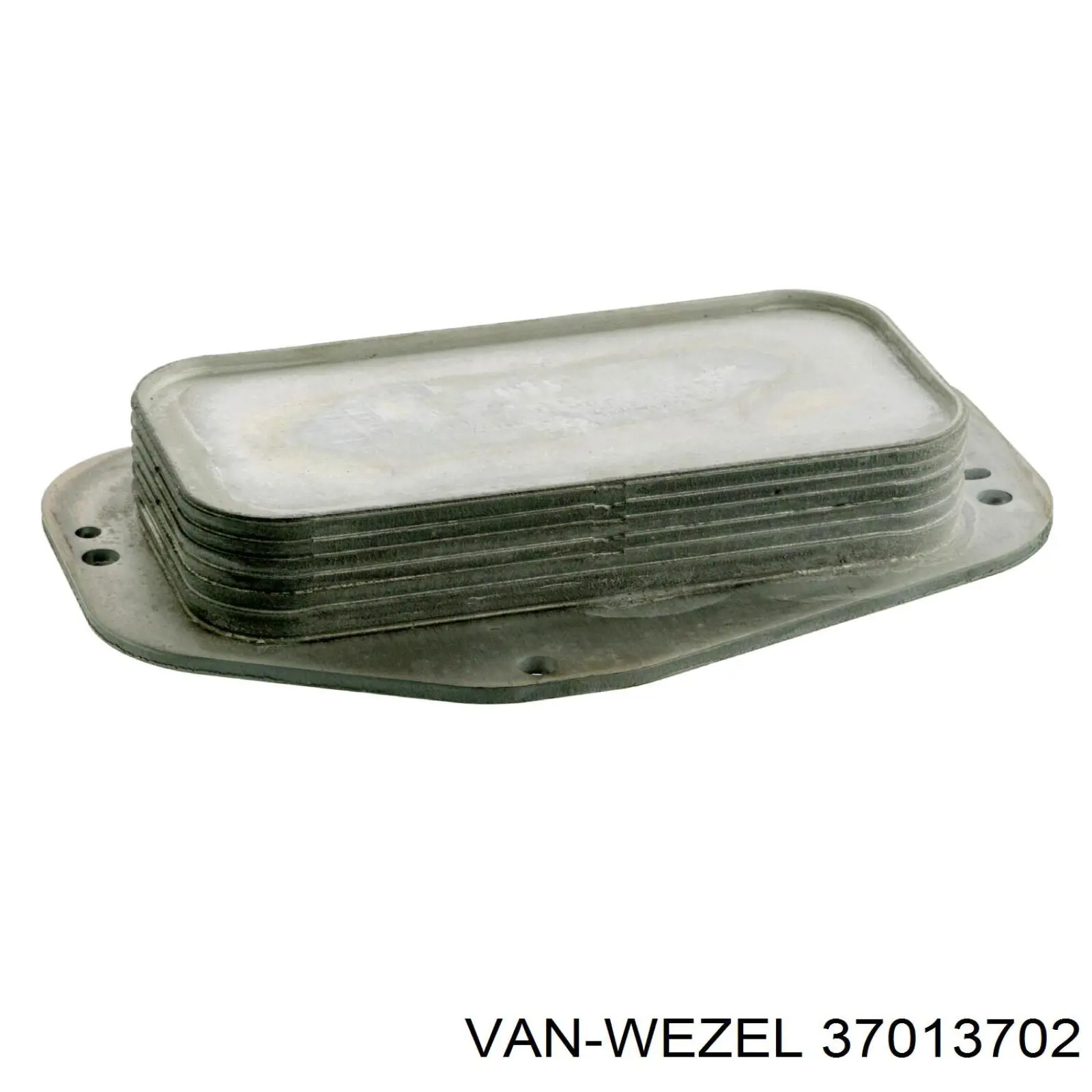 37013702 VAN Wezel
