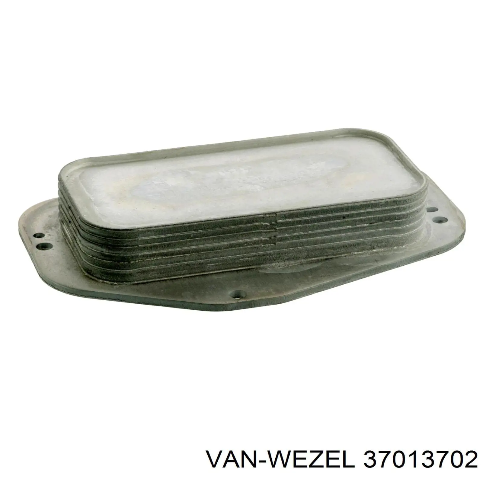 37013702 VAN Wezel radiador de óleo