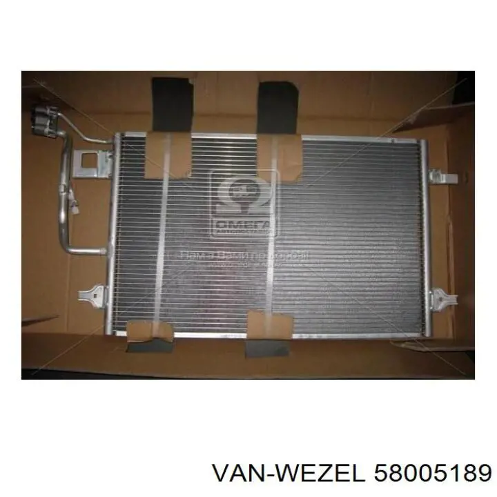 58005189 VAN Wezel
