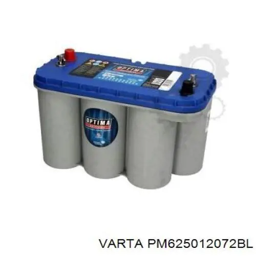 123411 Exide 