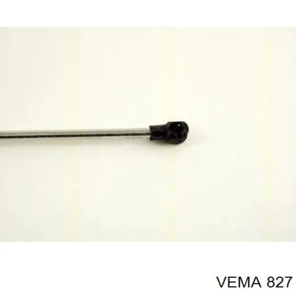 Тришип 827 Vema