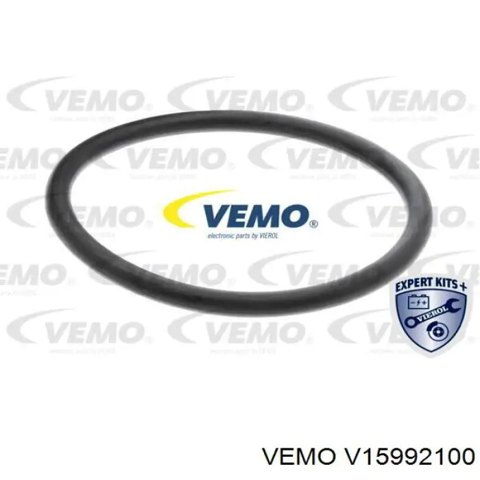 V15992100 Vemo термостат