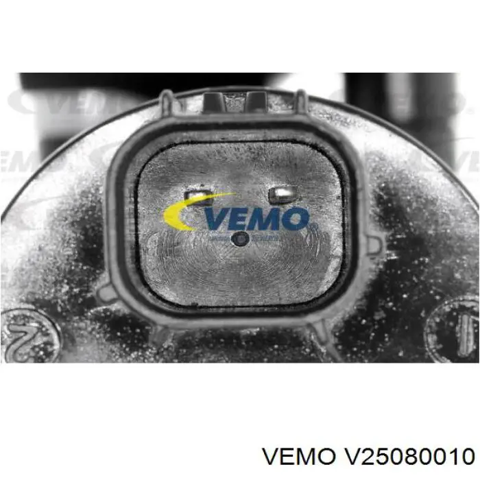 V25080010 Vemo