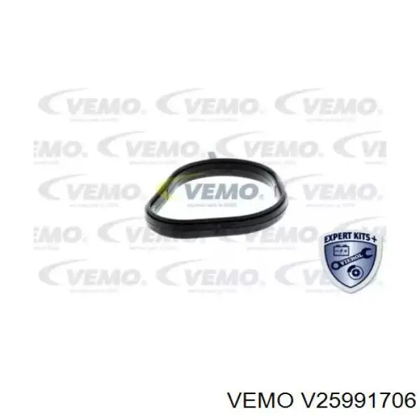 Термостат V25991706 Vemo