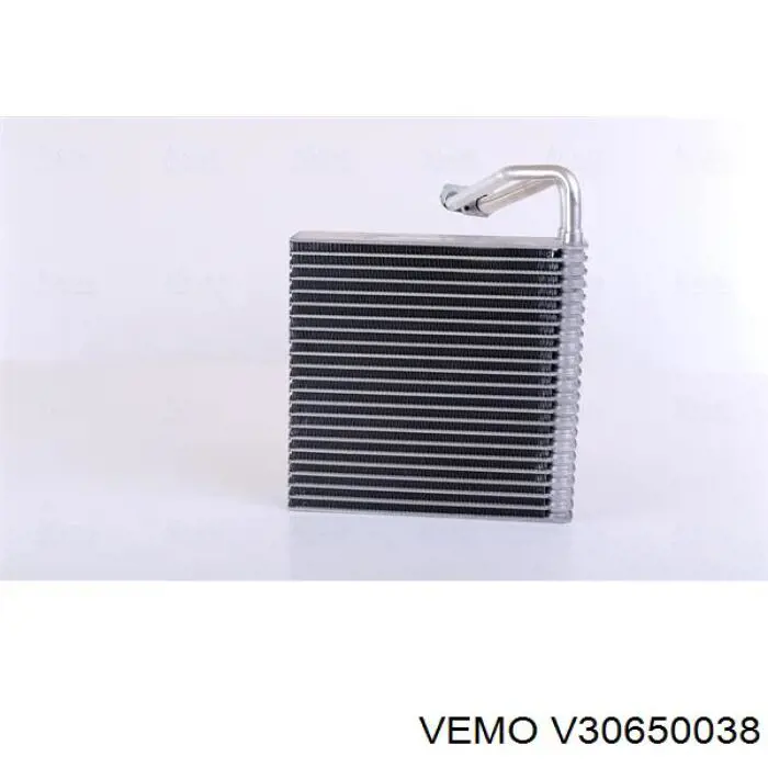  V30650038 Vemo