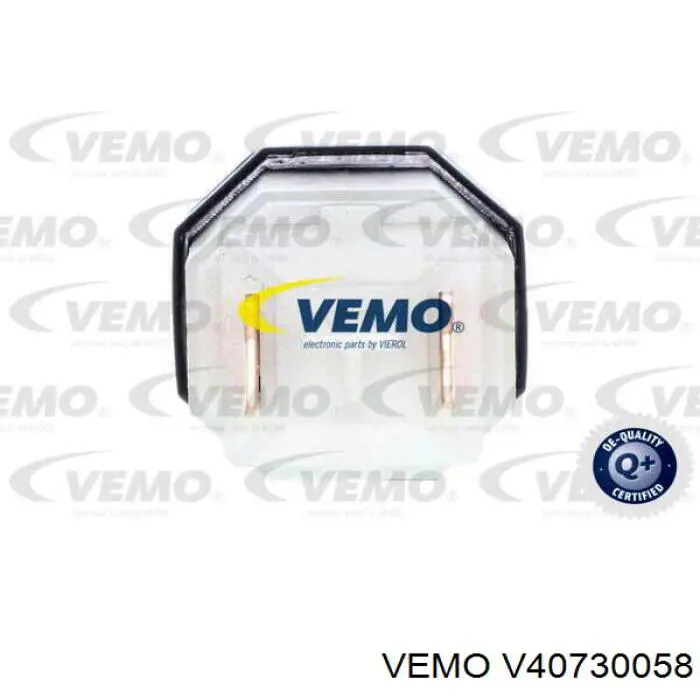 V40730058 Vemo