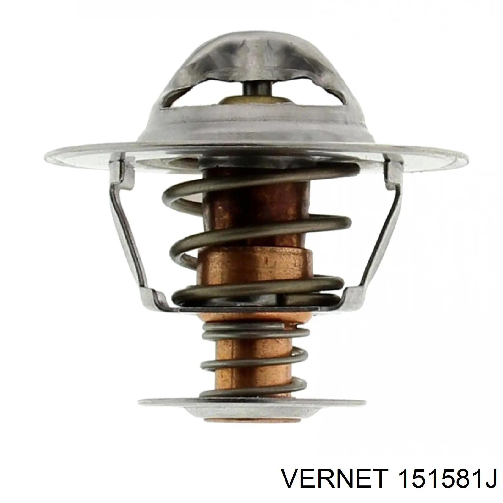 151581J Vernet 