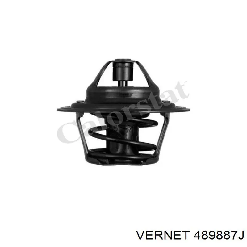 Термостат 489887J Vernet