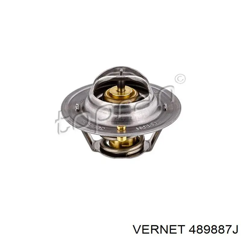 489887J Vernet Авто термостат
