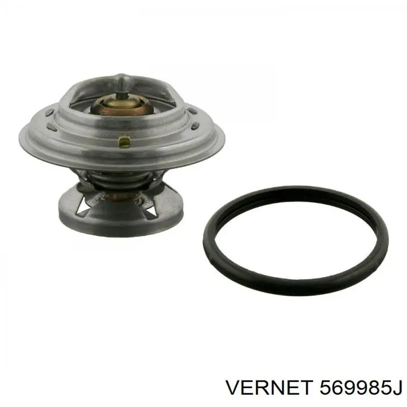 569985J Vernet Авто термостат