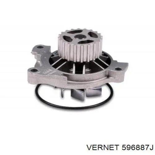 Термостат в сборе Vernet 596887J