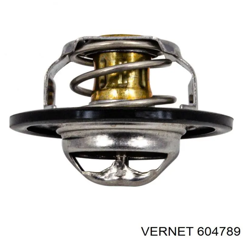 604789 Vernet Авто термостат