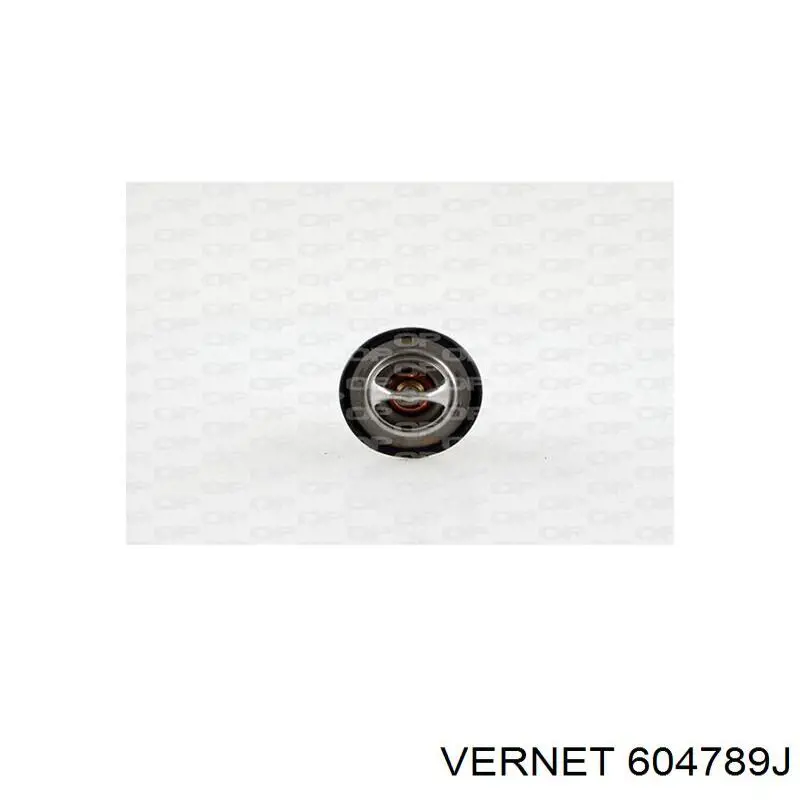 604789J Vernet Авто термостат