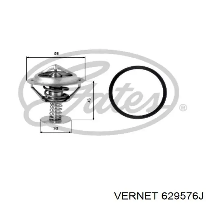 Термостат 629576J Vernet
