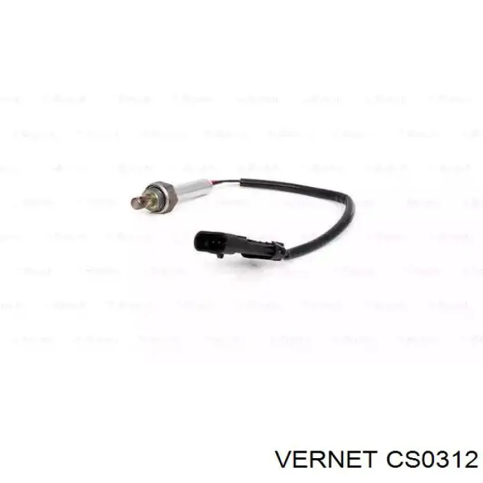 CS0312 Vernet