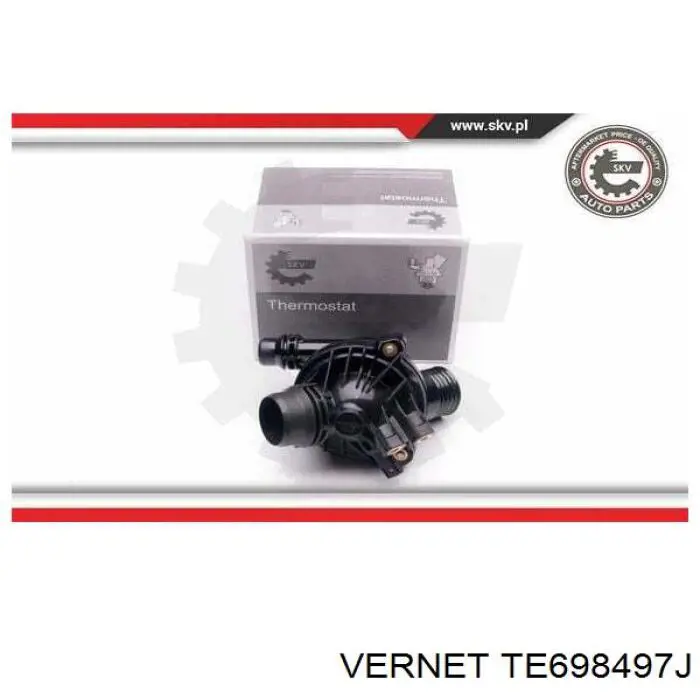 Термостат в сборе Vernet TE698497J