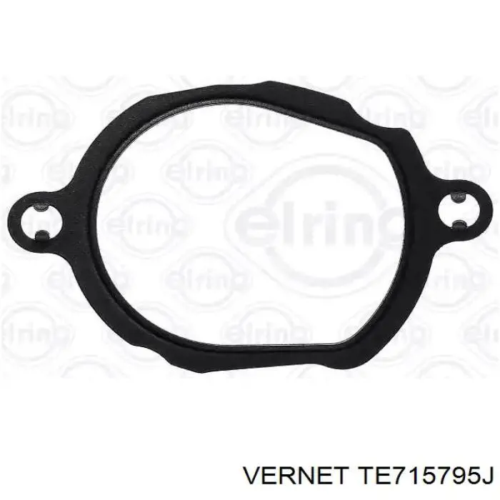 Термостат TE715795J Vernet