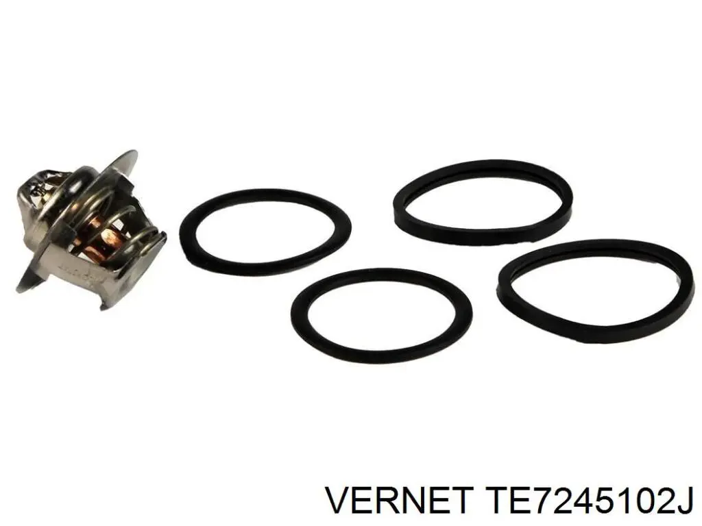 Корпус термостата TE7245102J Vernet