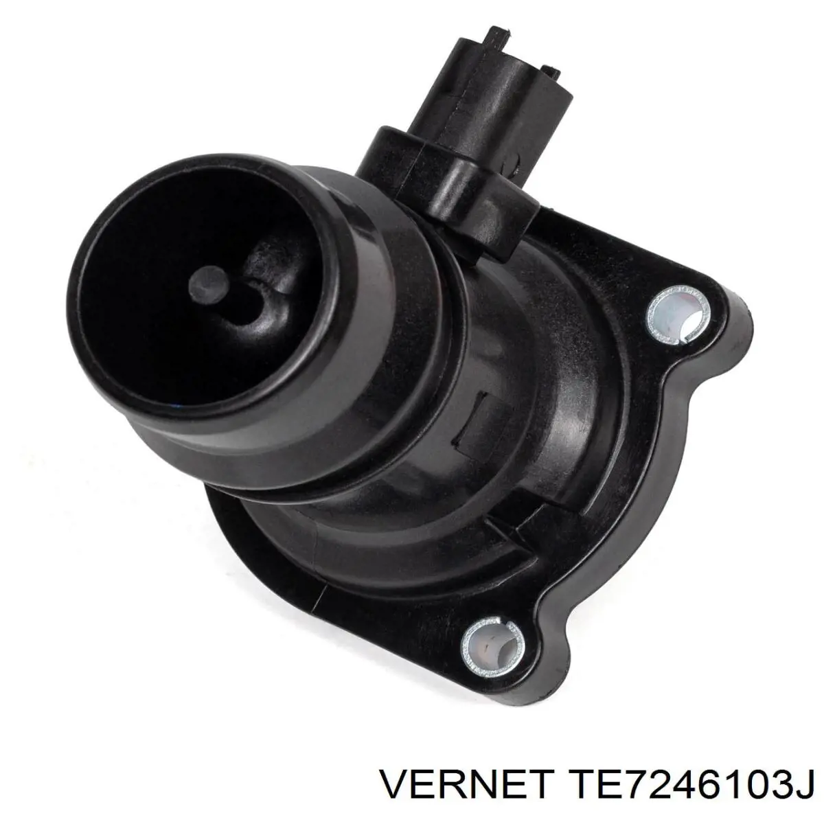 Термостат в сборе Vernet TE7246103J