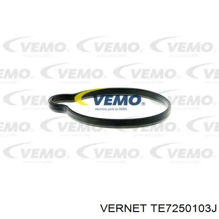 Термостат в сборе Vernet TE7250103J