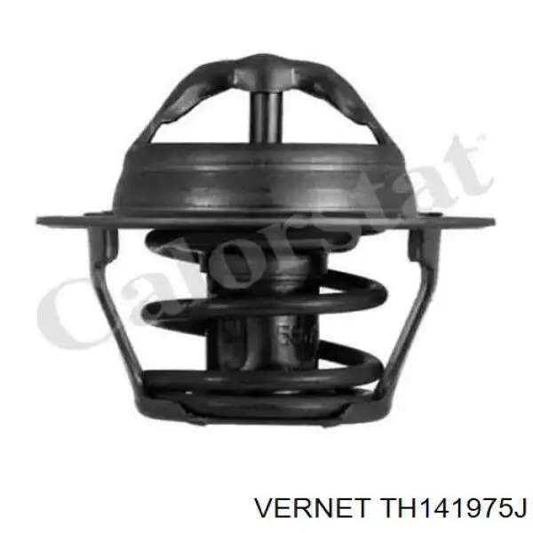 Термостат в сборе Vernet TH141975J