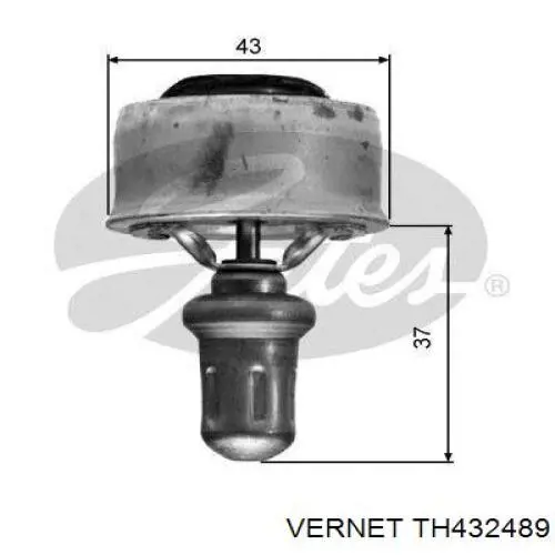 TH4324.89 Vernet термостат