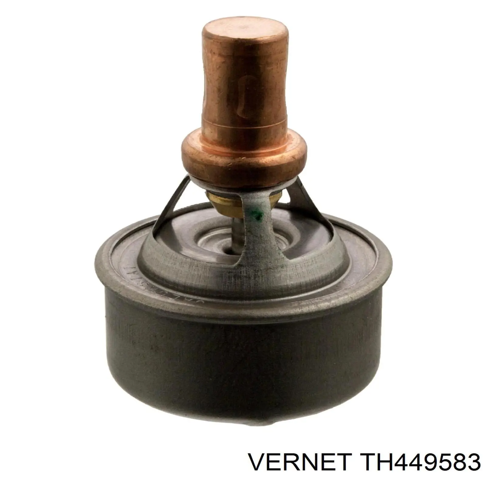 TH449583 Vernet