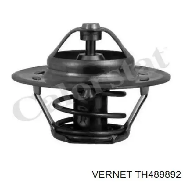 TH489892 Vernet Авто термостат