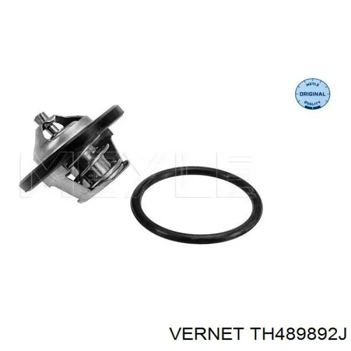 Термостат TH489892J Vernet