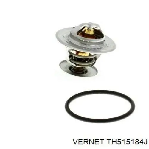 Термостат TH515184J Vernet