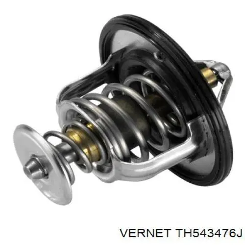 Термостат в сборе Vernet TH543476J