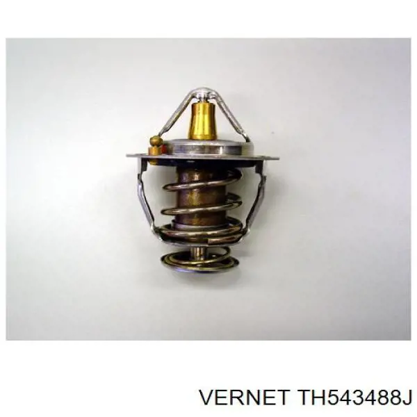 Термостат в сборе Vernet TH543488J