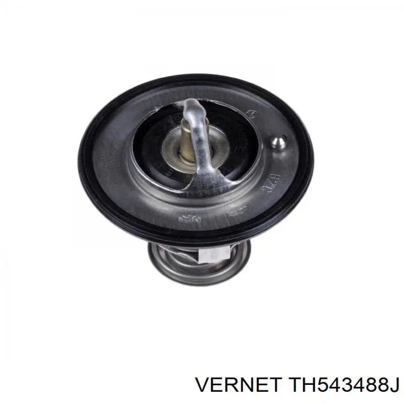 Термостат TH543488J Vernet