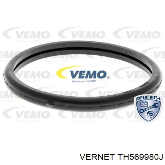 Термостат TH569980J Vernet