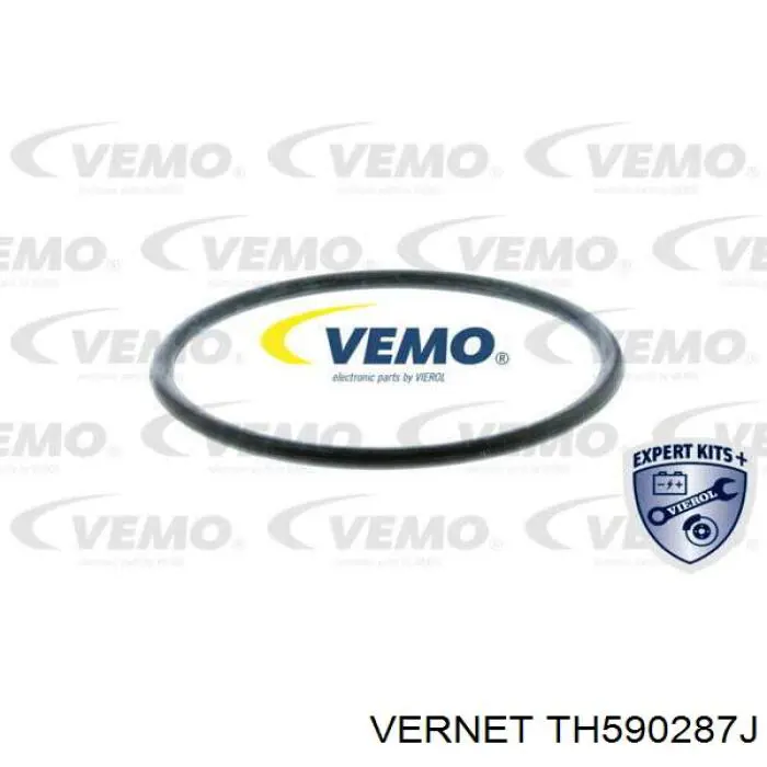 Термостат в сборе Vernet TH590287J