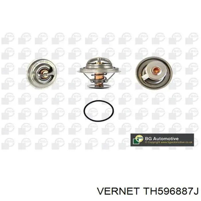 Термостат TH596887J Vernet