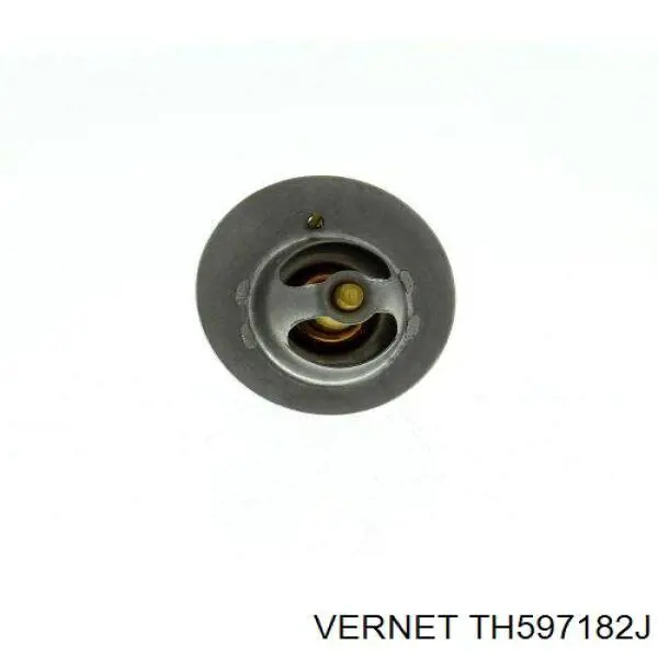 Термостат в сборе Vernet TH597182J