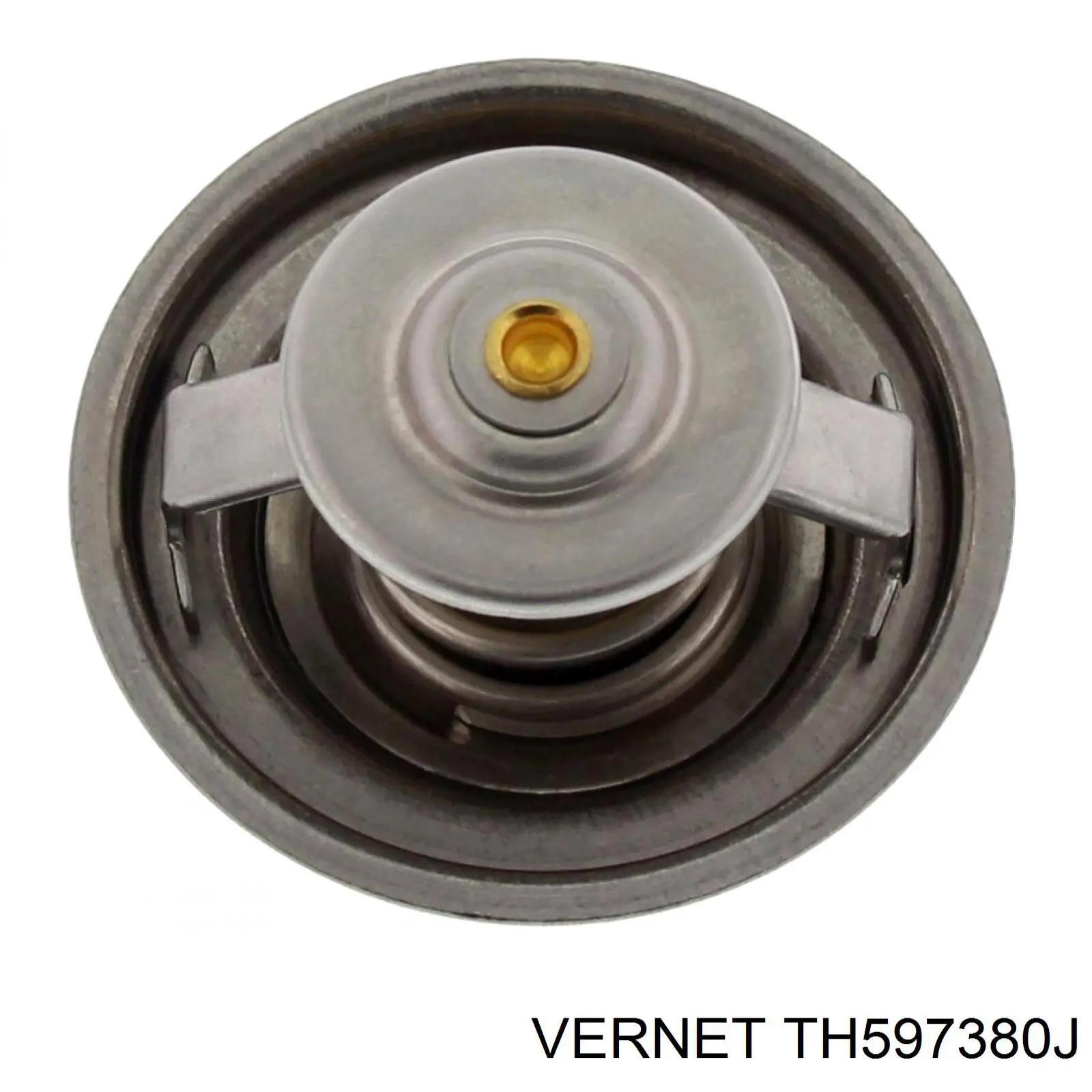 Термостат TH597380J Vernet